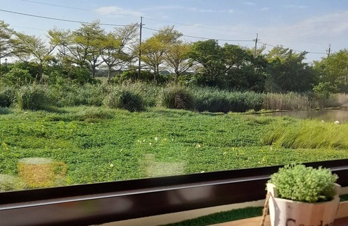 Toucheng Bed & Breakfast | Waterbirds Family