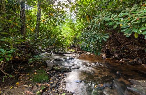 Boone House | Waterfall Cottage