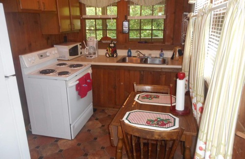 Chimney Rock Cabin | Waterfall View Cabin with Last of the Mohicans Waterfall view.