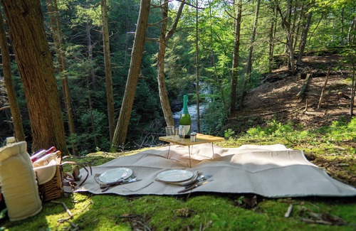 Bushkill House | Waterfall Views! Hot Tub, Game Room, Dog Friendly
