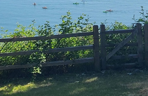 Camano Island House | Waterfront AND tucked in the woods! Such a great escape.