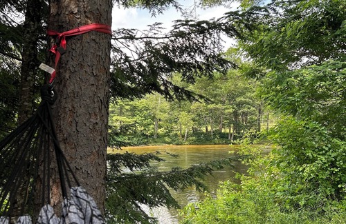Conway House | Waterfront Cottage on the Saco River and 10 minutes to skiing!