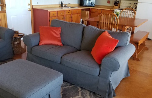 Picton Cottage | WATERFRONT, FREE PONTOON CRUISE WITH WEEKLY RENTAL