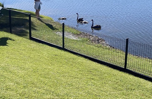 Burleigh Waters House | Waterfront Surprise! Lakeside fun, 5 mins from the beach