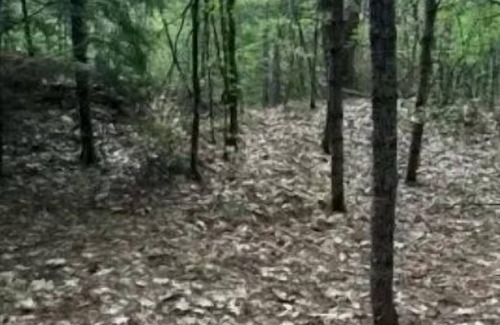 Limerick RV Rental | Watersrock Woods Camp Site 1