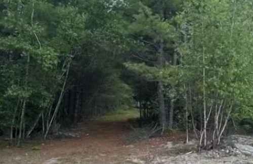 Limerick RV Rental | Watersrock Woods Camp Site 1