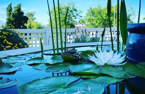 Somerset West House | Waterstone Lodge