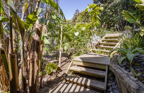 Raglan Apartment | WaveCatcher Whale Bay Surf Studio Flat