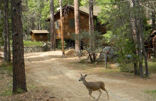 North Wawona House | Wawona Glade