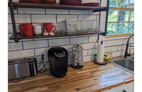 Walhalla House | We have power and Wi-Fi! Walk to Downtown! Huge Yard! Record Player!