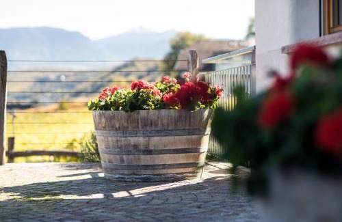 Unterrain/Riva di Sotto House | Weingut Donà