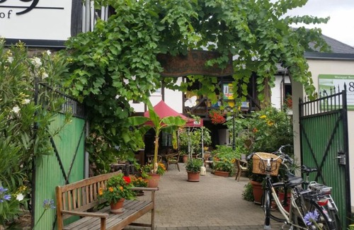 Hatzenport Apartment | Weingut -1869- Brunnenhof