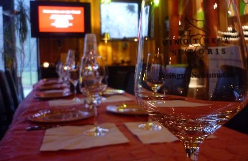 Sankt Aldegund Apartment | Weingut Schumacher - mit privatem Saunabereich