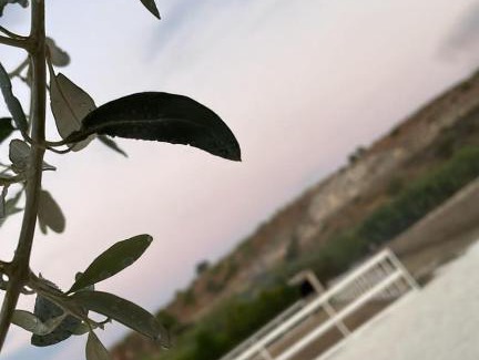 Pachino House | Welcome Marzamemi