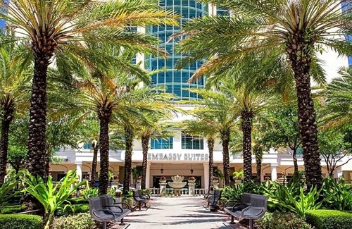 Downtown Tampa Apartment | Welcome to our exquisite hotel, where luxury meets comfort .
