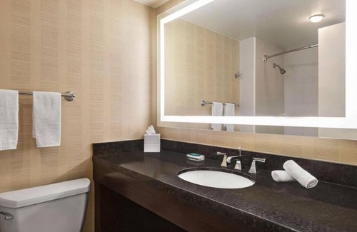 Downtown Tampa Apartment | Welcome to our exquisite hotel, where luxury meets comfort .