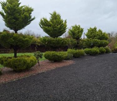 Ballyjamesduff Apartment | Welcome to Tunmobi Villa, its home away from home.