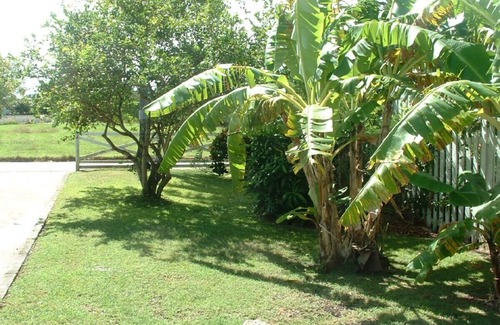 Holetown Cottage | Welcome to your Cosy Caribbean cottage, minutes from the beach.