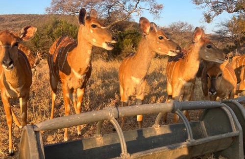 Cullinan Cabin | Welgedacht Lodge
