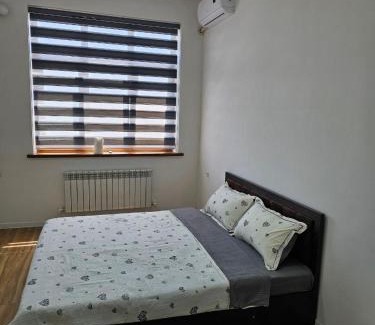 Samarkand Apartment | well apartment
