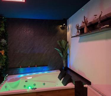 Westerholt Apartment | Wellnesshaus - Whirlpool, Sauna, Küche, 24-7