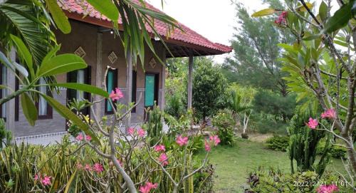 Pemuteran Boat Rental | West Bali Menjangan Tour