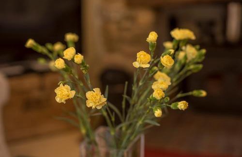 St Brides House | West Barn
