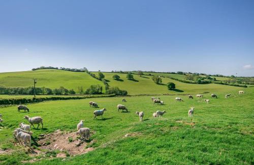 South Molton House | West Millbrook Cottage