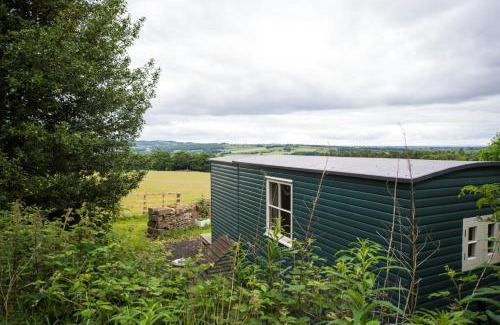 Crawcrook Other | West Wood Yurts Ltd
