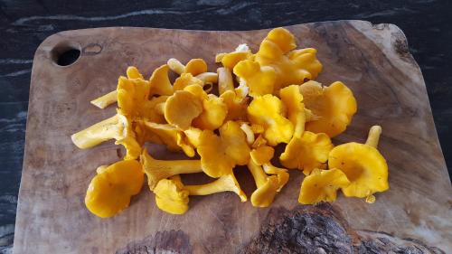 Inverness House | Wester Blackpark Farm