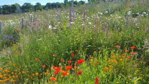 Inverness House | Wester Blackpark Farm