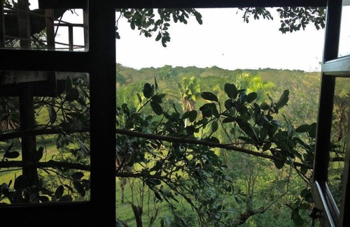 Isla de Utila House | What Would You Dream, Sleeping In A Tree? Utila's Only Treehouse