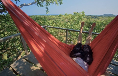 Isla de Utila House | What Would You Dream, Sleeping In A Tree? Utila's Only Treehouse