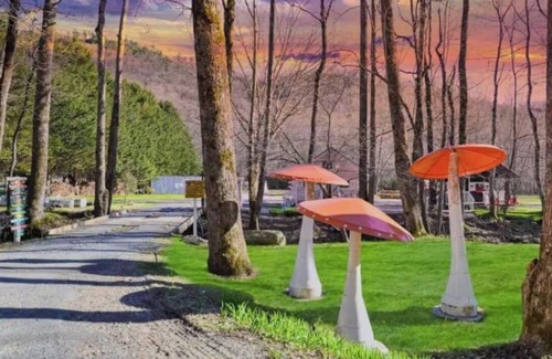 Hayesville Cottage | Whimsical Candy Cabin in Blue Ridge with Lollipop Garden, Firepit & Petting Zoo