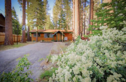 North Upper Truckee House | Whispering Pines Cabin - Family & Pet Friendly Abode