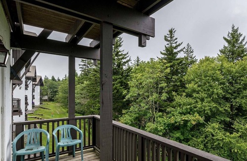 Snowshoe Condo | Whistlepunk by Casago