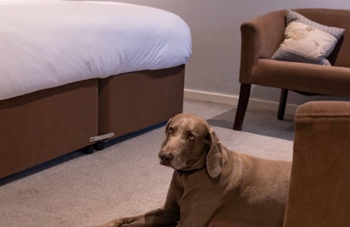 Wells Hotel | White Hart Inn
