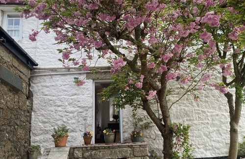 Zennor Bed & Breakfast | White House