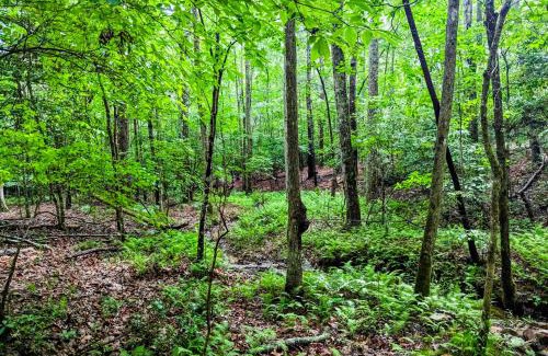 Blairsville House | White Owl Cottage
