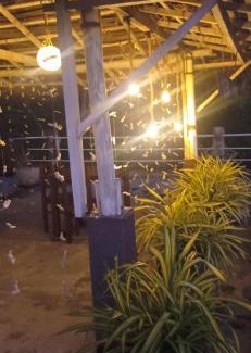 Talpe Resort | White Surfing Beach Resort