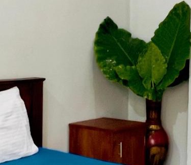 Hikkaduwa House | White Whale Villa Ambalangoda