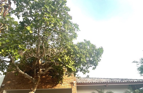 Punta Chame House | Whole house in Playa Punta Chame with pool and gazebo just steps from the ocean!