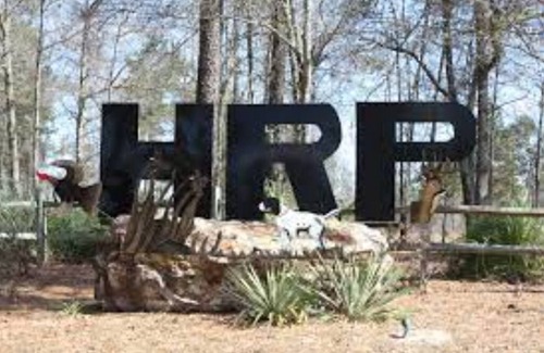 Millen House | Whole house with fenced in backyard & patio, Fully supplied kitchen, etc!