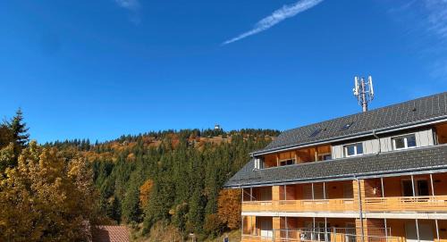 Feldberg Apartment | Wiesenquell Apartment Feldberg
