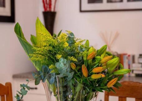 Montagu Apartment | Wijnberg Cottage
