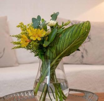 Montagu Apartment | Wijnberg Cottage