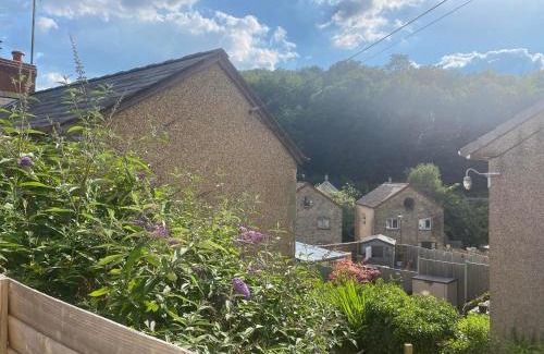 Cinderford Apartment | Wild Boar Cabin