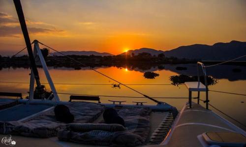 Kosmos Boat Rental | Wildcat Catamaran Cruises