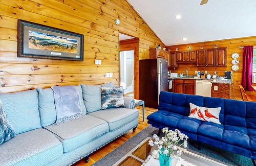 Vilas Other | Wilderness retreat with a wood-burning fireplace, grill, & deck - mtn views