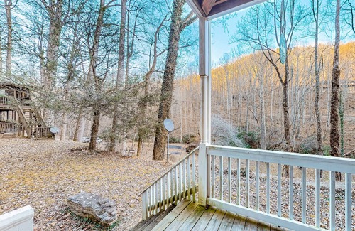 Sylva Apartment | Wilderness studio with kitchenette, jetted tub, smart TV, & AC - dog-friendly